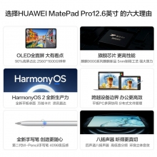 華為HUAWEI MatePad Pro 12.6英寸鴻蒙HarmonyOS系統(tǒng)OLED屏幕平板電腦學(xué)習(xí)8GB12GB內(nèi)存 前白后冰霜銀  