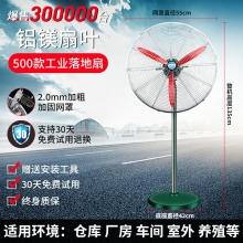 500款工業(yè)落地扇-工業(yè)電風(fēng)扇強(qiáng)力落地扇大風(fēng)量牛角扇商用機(jī)械大功率車間工廠壁掛扇